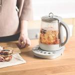 BUYDEEM 9-in-1 Tea Maker and Kettle