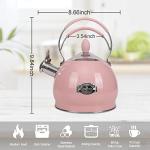 Stainless Steel Whistling Tea Kettle, 2.6 Quart