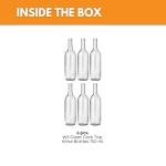 6 Clear Bordeaux Wine Bottles for Home Brewing