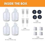 FastRack 4-Pack Clear Glass Fermentation Jugs