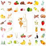 Wine Aroma Kit for Tasting and Smelling Fun