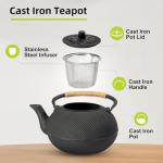 Japanese Cast Iron Teapot with Stainless Steel Infuser