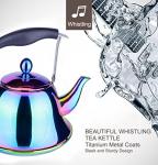 Stainless Steel Whistling Tea Kettle with Infuser
