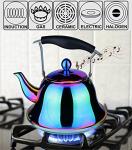Stainless Steel Whistling Tea Kettle with Infuser