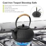 Japanese Cast Iron Teapot with Stainless Steel Infuser