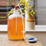 Ferroday 5/16" Barbed Air Line Filters (4 Pack)