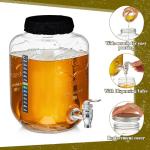 Ziliny Kombucha Continuous Brew Kit with Jars