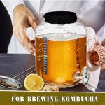 Ziliny Kombucha Continuous Brew Kit with Jars