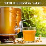 Ziliny Kombucha Continuous Brew Kit with Jars