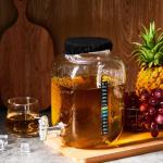 Ziliny Kombucha Continuous Brew Kit with Jars