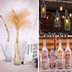 750ml Clear Glass Bottles with Cork Lids - 8 Pack