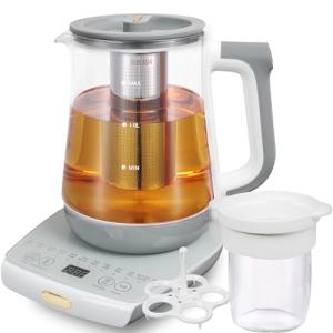 Electric Kettle with Infuser and Temperature Control