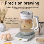 Electric Kettle with Infuser and Temperature Control