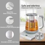 Electric Kettle with Infuser and Temperature Control