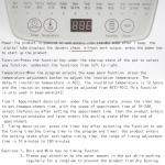 Electric Kettle with Infuser and Temperature Control