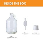 1 Gallon Glass Fermentation Jug with Airlocks