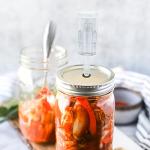 Brewland 6-Pack Airlocks with Stoppers and Grommets