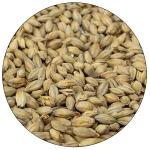 Nut Brown All Grain Beer Recipe Kit - 5 Gallons