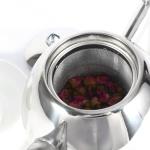 Stainless Steel Whistling Tea Kettle with Filter