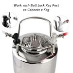Ball Lock Disconnect Set for Home Brewing
