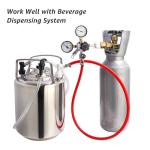 Ball Lock Disconnect Set for Home Brewing