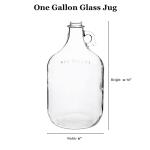 Fastrack Bubble Airlocks for Beer and Wine