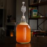 Fastrack Bubble Airlocks for Beer and Wine