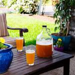 Fastrack Bubble Airlocks for Beer and Wine