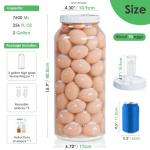 2 Gallon Glass Fermentation Jar with Airtight Lid