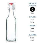 YEBODA Clear Glass Beer Bottles - 16 oz, 6 Pack