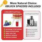 CAELUM 3.2 Gallon Fruit Wine Press Squeezer