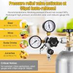 MRbrew CO2 Keg Regulator with Pressure Control