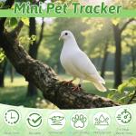 Quixion Cat Tracker, Pet Tracker For Dogs And Cats, Dog Tracker With No Monthly Fees, Ios/Android Compatible, Global Tracking Device For Collars And Luggage (Includes Pet Collar + Tracker)