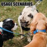 6-Pack Anti-Theft Luggage Locks with Carabiners