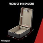 SentrySafe Mini Lock Box for Valuables