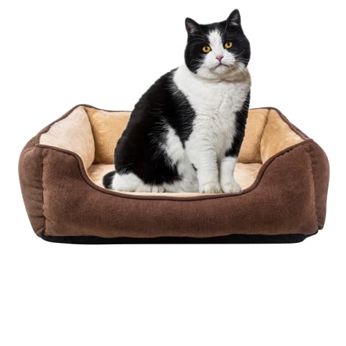 Long Rich Fur Pet Beds for Medium Dogs, Pet Sofa Bed, Soft Calming Cat Beds, Comfty Durable Pet Puppies Beds with Reversible&Washable Cushion,Dog Beds