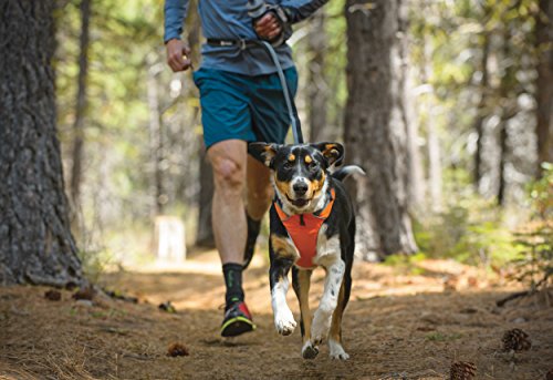 RUFFWEAR 3050-815S Front Range, Everyday No Pull Dog Harness with Front Clip, Trail Running, Walking, Hiking, All-Day Wear, Campfire Orange, Small