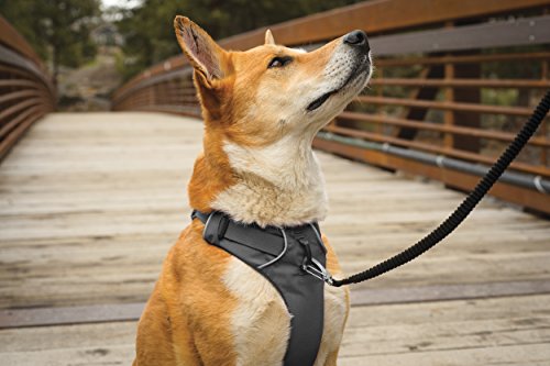 RUFFWEAR, Front Range, Everyday No Pull Dog Harness with Front Clip, Trail Running, Walking, Hiking, All-Day Wear, Twilight Gray, X-Small
