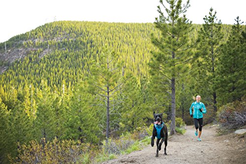 RUFFWEAR - Front Range, Everyday No Pull Dog Harness with Front Clip, Trail Running, Walking, Hiking, All-Day Wear, Pacific Blue, Medium