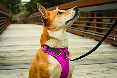 RUFFWEAR - Front Range, Everyday No Pull Dog Harness with Front Clip, Trail Running, Walking, Hiking, All-Day Wear, Alpenglow Pink (2016), Medium