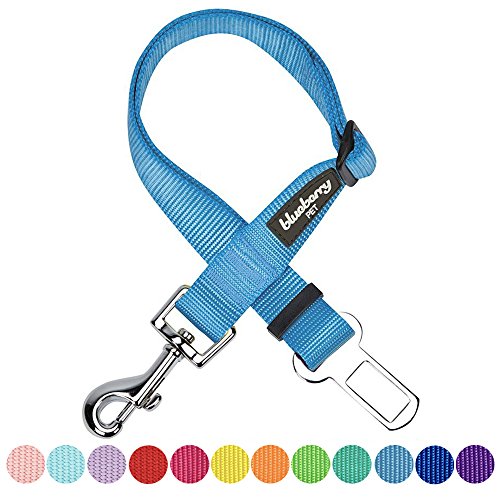Blueberry Pet Classic Dog Seat Belt Tether for Dogs Cats, Medium Turquoise, Durable Safety Car Vehicle Seatbelts Leads Use with Harness