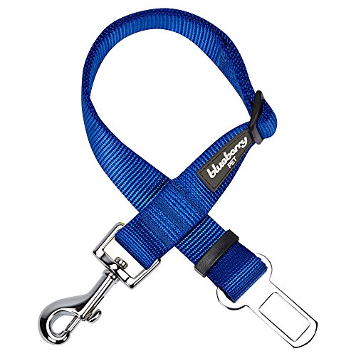 Blueberry Pet Essentials Classic Dog Seat Belt Tether for Dogs Cats, Royal Blue, Durable Safety Car Vehicle Seatbelts Leads Use with Harness