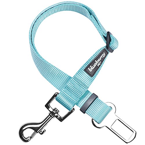 Blueberry Pet Essentials Classic Dog Seat Belt Tether for Dogs Cats, Mint Blue, Durable Safety Car Vehicle Seatbelts Leads Use with Harness