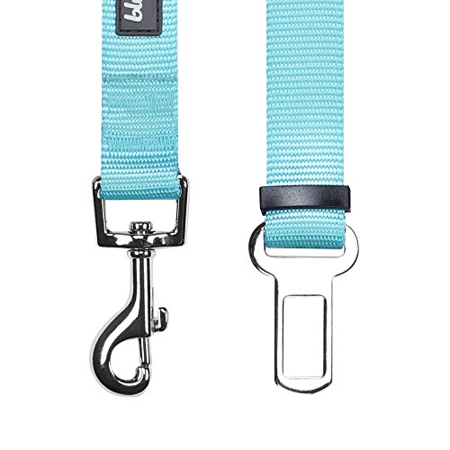 Blueberry Pet Essentials Classic Dog Seat Belt Tether for Dogs Cats, Mint Blue, Durable Safety Car Vehicle Seatbelts Leads Use with Harness