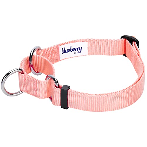 Blueberry Pet Essentials Martingale Safety Training Dog Collar, Baby Pink, Large, Heavy Duty Nylon Adjustable Collars for Dogs