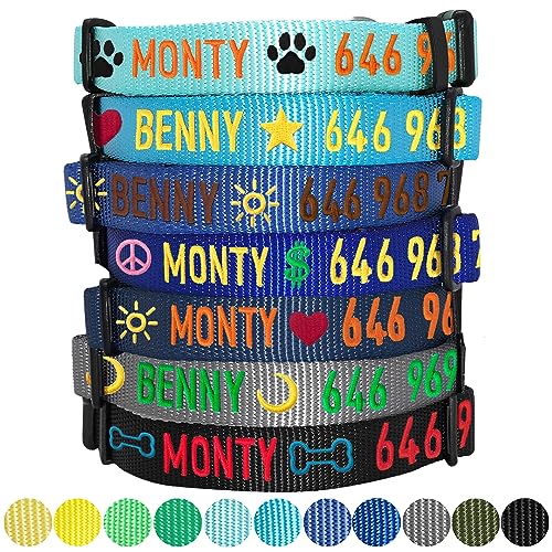 Blueberry Pet Essentials Personalized Dog Collar, Mint Blue, Large, Adjustable Customized ID Collars for Large Dogs Embroidered with Pet Name & Phone Number