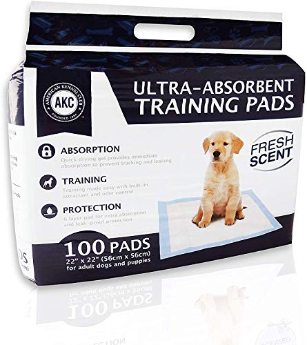 Kennel Club Scented Puppy Training Pads with Ultra Absorbent Quick Dry Gel – 22 x 22 Pee Pads For Dogs - Fresh Scented - Pack of 100