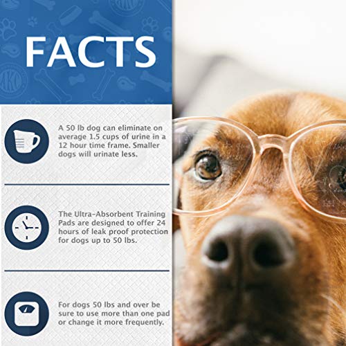 Kennel Club Scented Puppy Training Pads with Ultra Absorbent Quick Dry Gel – 22 x 22 Pee Pads For Dogs - Fresh Scented - Pack of 100