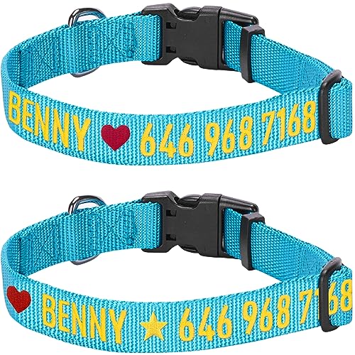 Turquoise Personalized Dog Collar for Large Dogs