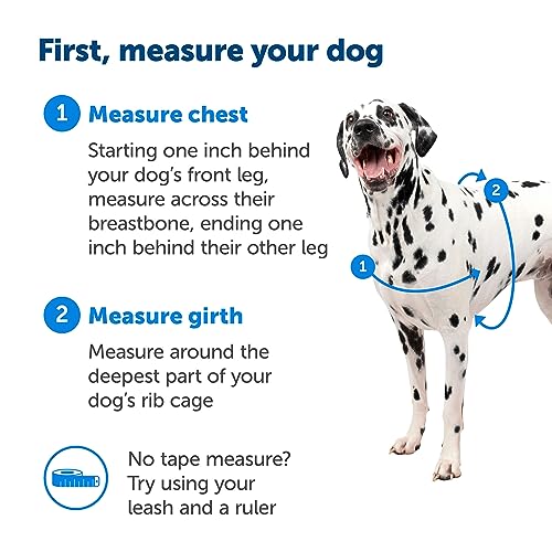 PetSafe Easy Walk No-Pull Dog Harness - The Ultimate Harness to Help Stop Pulling - Take Control & Teach Better Leash Manners - Helps Prevent Pets Pulling on Walks - Medium/Large, Royal Blue/Navy Blue